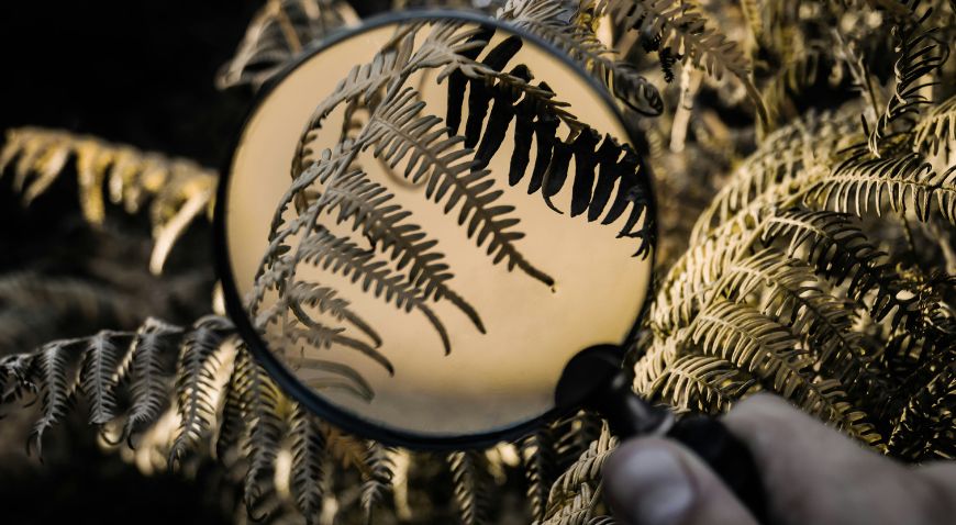 Atualizações da Anvisa e a mudança na RDC 894/2024