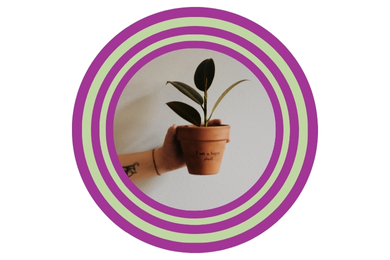 Pode um cosmético ser realmente natural?